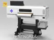 Dtf Printer Factory L 1800 X W 830 X H 1620 MM Wholesale - PRINTINGPLUS 1