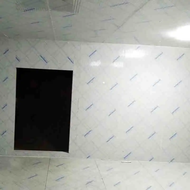 Freezing Temperature of-45C Container Cold Room 3