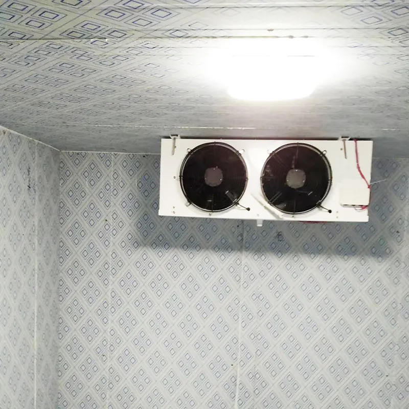 Freezing Temperature of-45C Container Cold Room 4