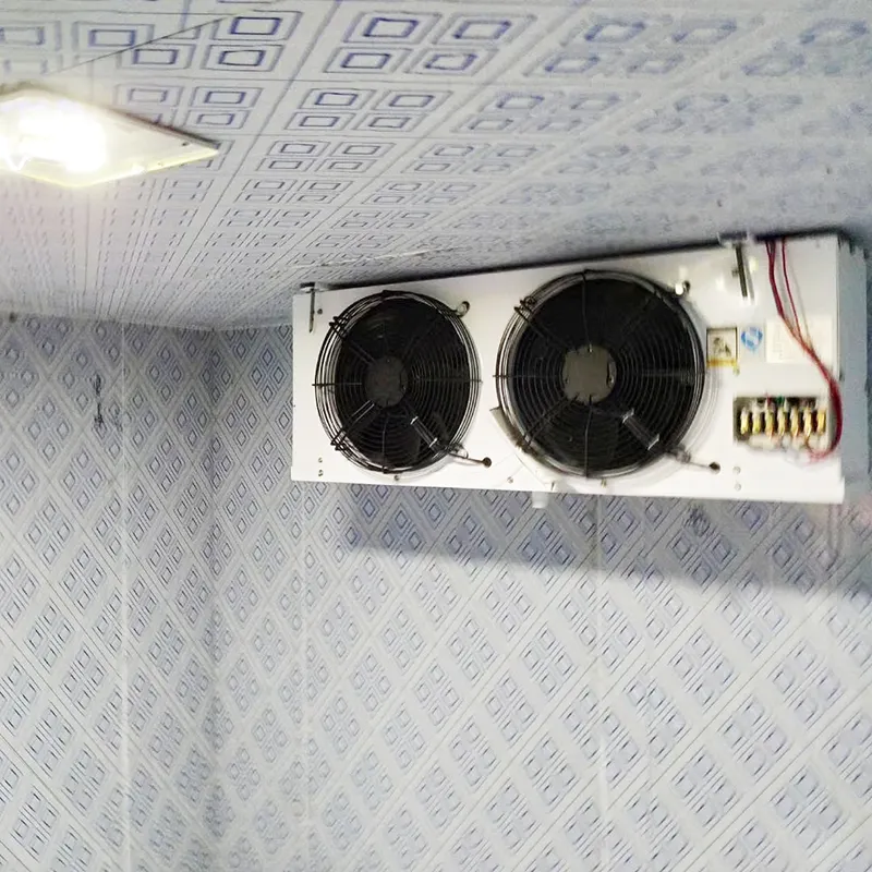 Chambre froide de panneau sandwich de polyuréthane -40~10 avec la porte coulissante 1