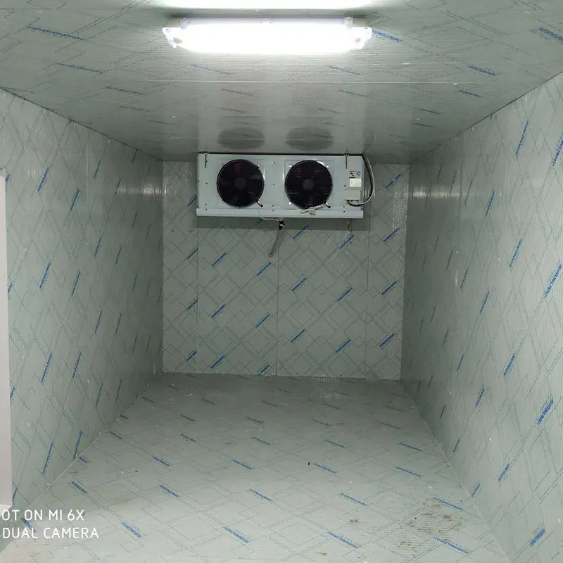 Chambre froide de panneau sandwich de polyuréthane -40~10 avec la porte coulissante 2