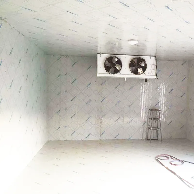 Chambre froide de panneau sandwich de polyuréthane -40~10 avec la porte coulissante 5