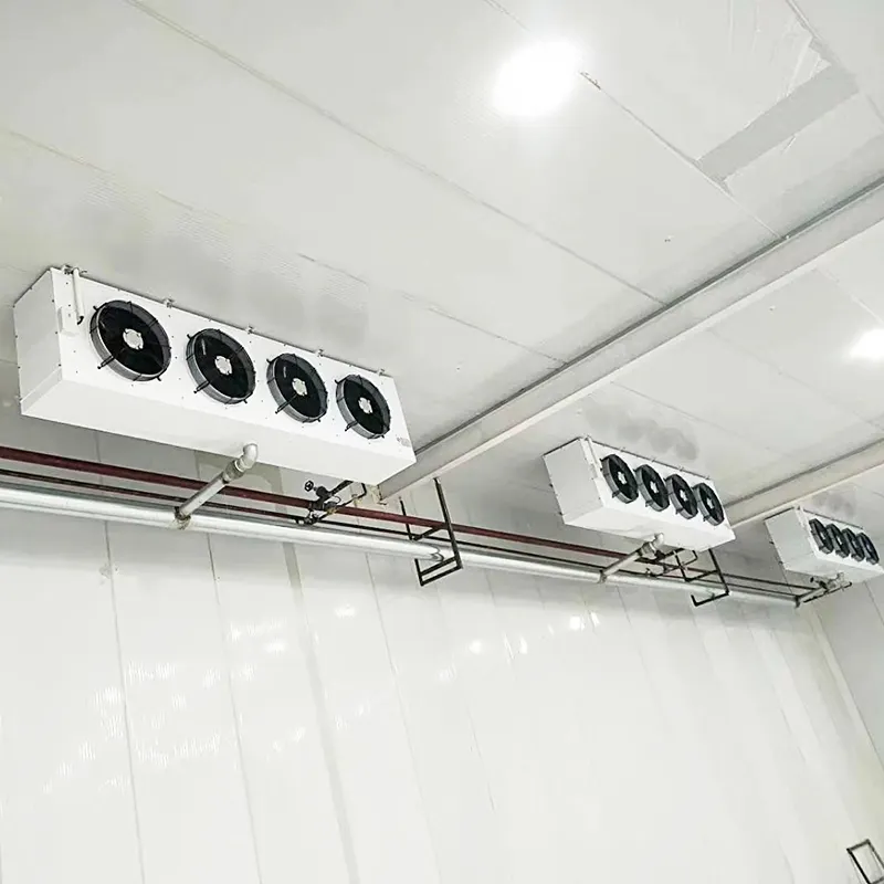 Contenedor de congelación (para congelar pescado) -40C 2