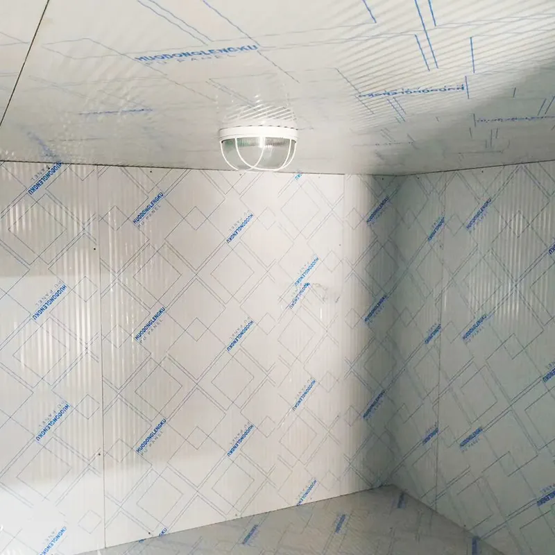 Contenedor de congelación (para congelar pescado) -40C 4