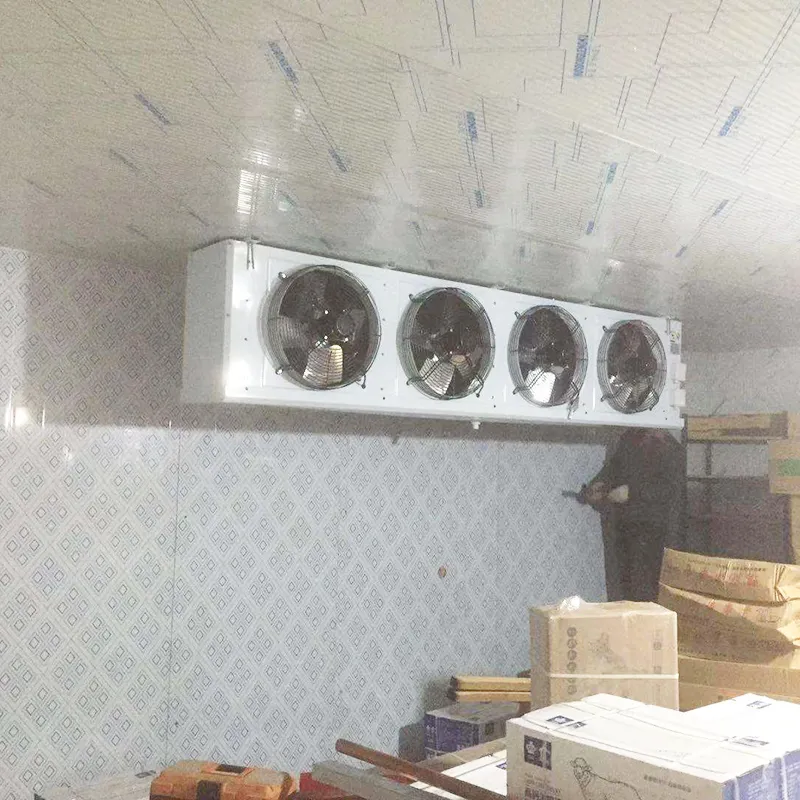 Contenedor de congelación (para congelar pescado) -40C 5