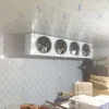 Contenedor de congelación (para congelar pescado) -40C 5