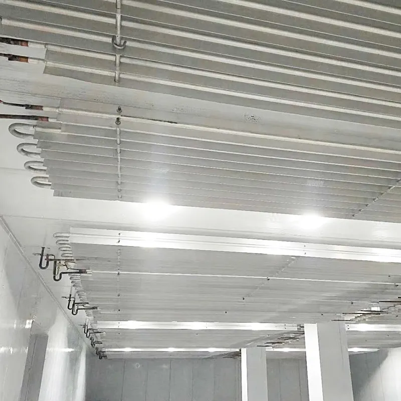 Salle de refroidissement de conteneur de salle d'entreposage frigorifique 5