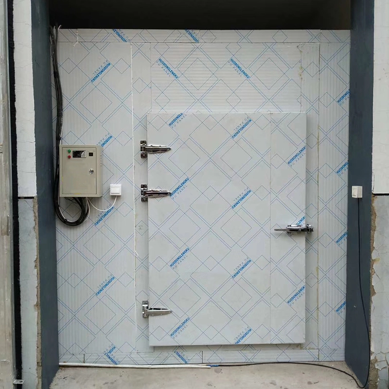 Deep Freezer Cold Room -45~10 For Nigeria 1