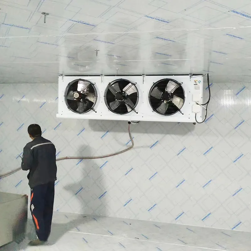 Container Cold Room Cooling Storage 3