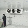 Container Cold Room Cooling Storage 3