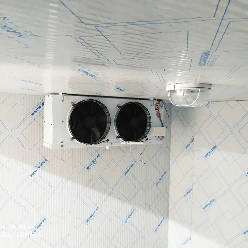 Almacenamiento de refrigeración en cámara frigorífica de contenedores1 3