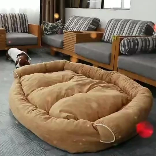 Divano per animali domestici con design imbottito per maggiore comfort e supporto 1