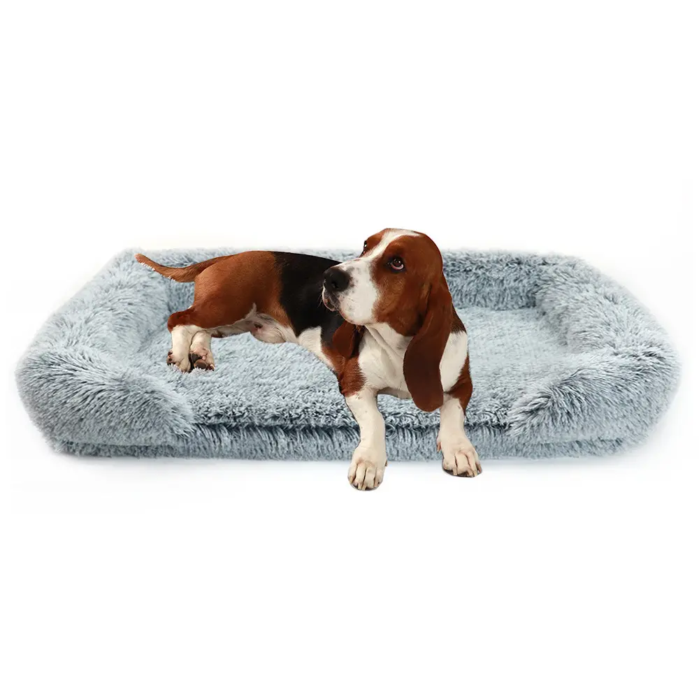 OEM/ODM Dog Supplies 2