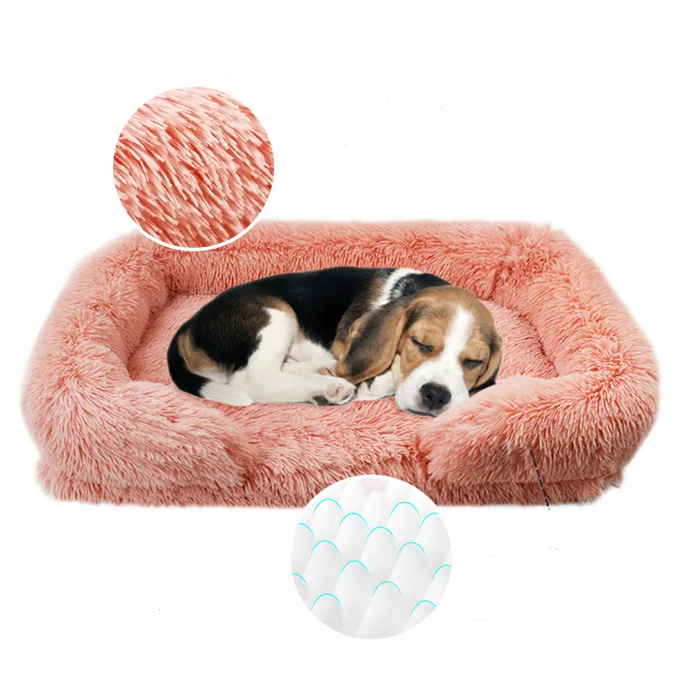 OEM/ODM Dog Supplies 4