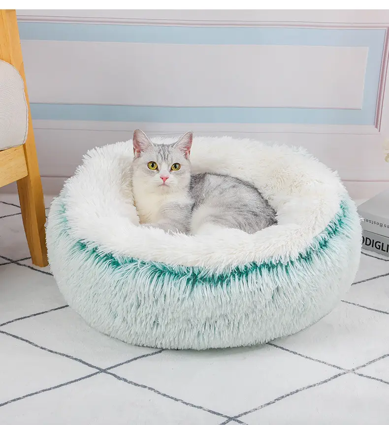 Custom Dog Mattress 2