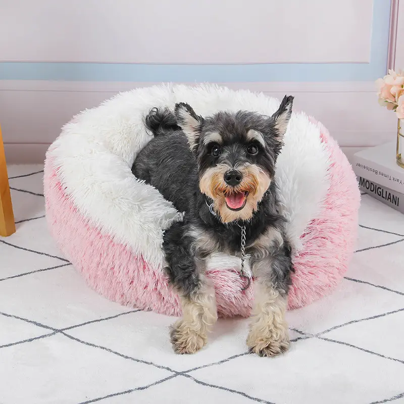 Custom Dog Mattress 4