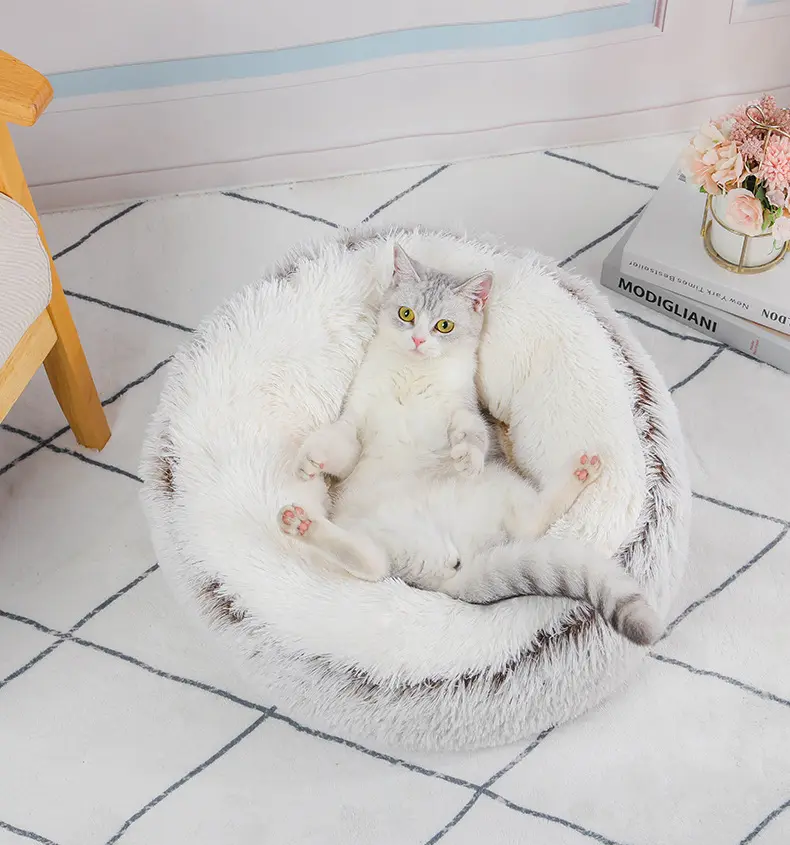 Custom Dog Mattress 3