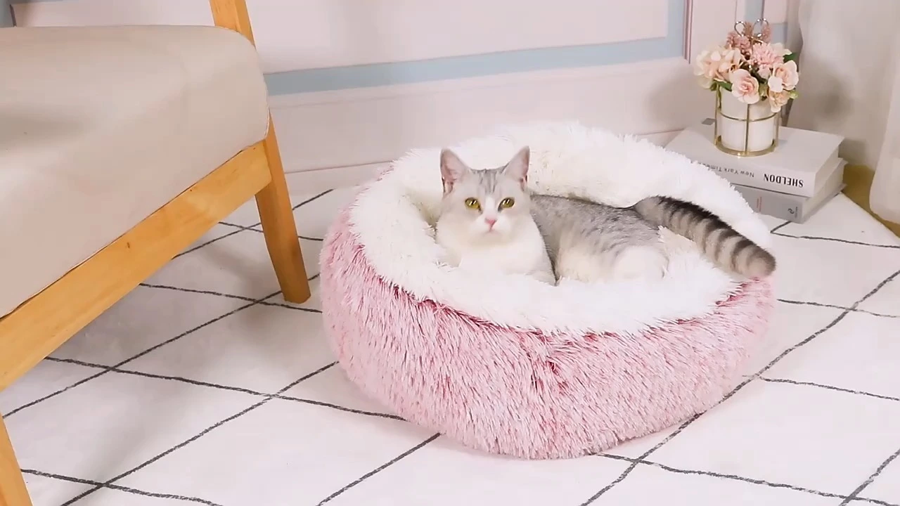 Cuccia lunga per animali in peluche dai colori a contrasto 1