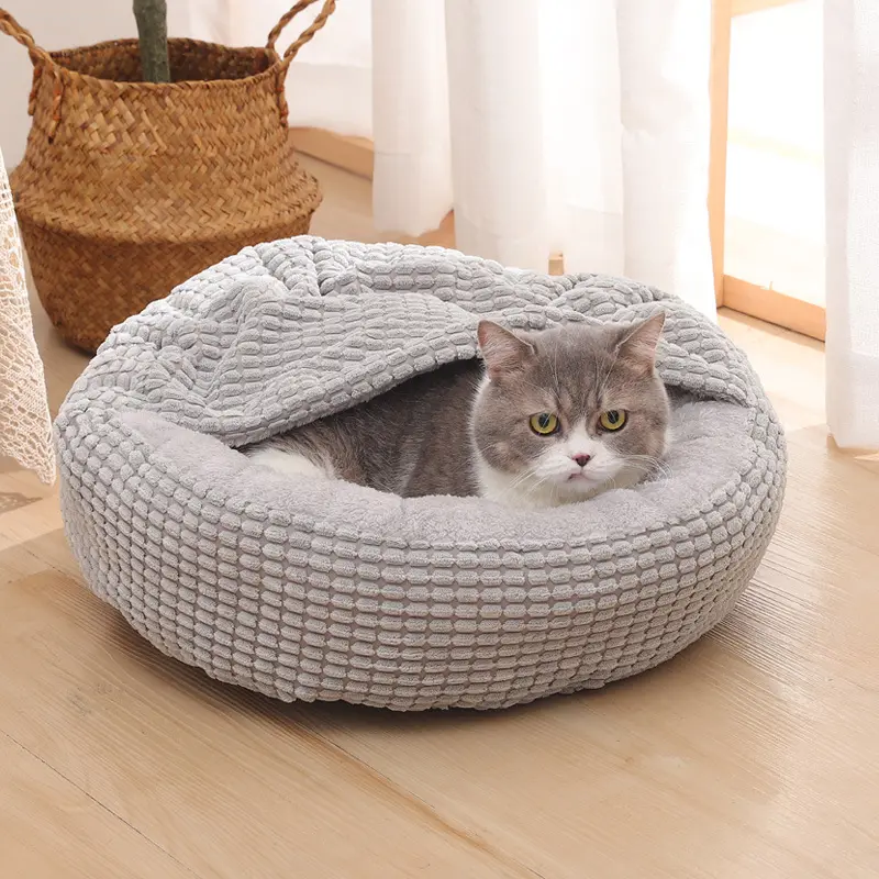 From Home to Hotel: How Bespoke Dog Beds Set the Standard 1