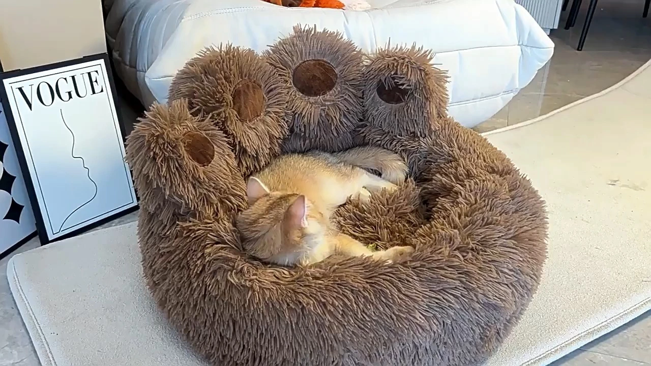 Cama para mascotas con forma de pata de felpa larga, personalización de tamaños disponible 1