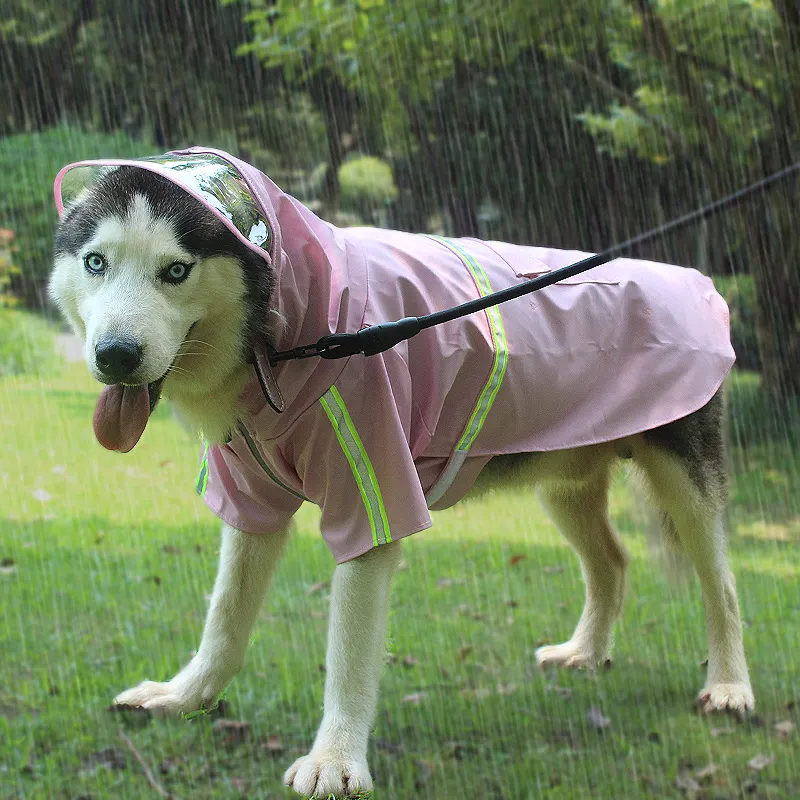 Bulk Buy Dog Supplies 5