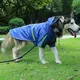 Bulk Buy Dog Supplies 4