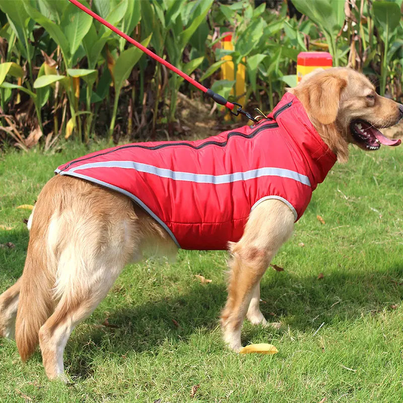 Eco-Friendly Dog Sweaters 2