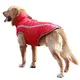 Eco-Friendly Dog Sweaters 3