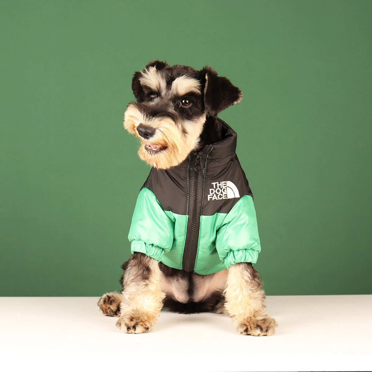 Manteau d'hiver imperméable au design moderne Facile à installer et à fermeture éclair 1