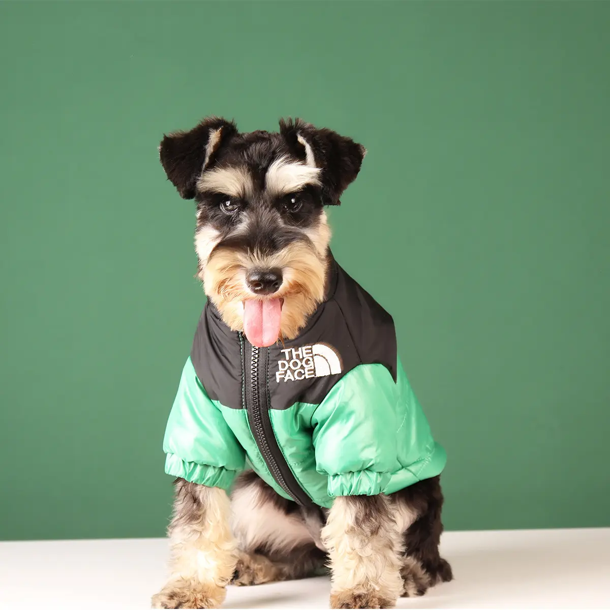 Eco-Friendly Dog Coats Dog Coats Company 4