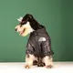 Eco-Friendly Dog Coats Dog Coats Company 3