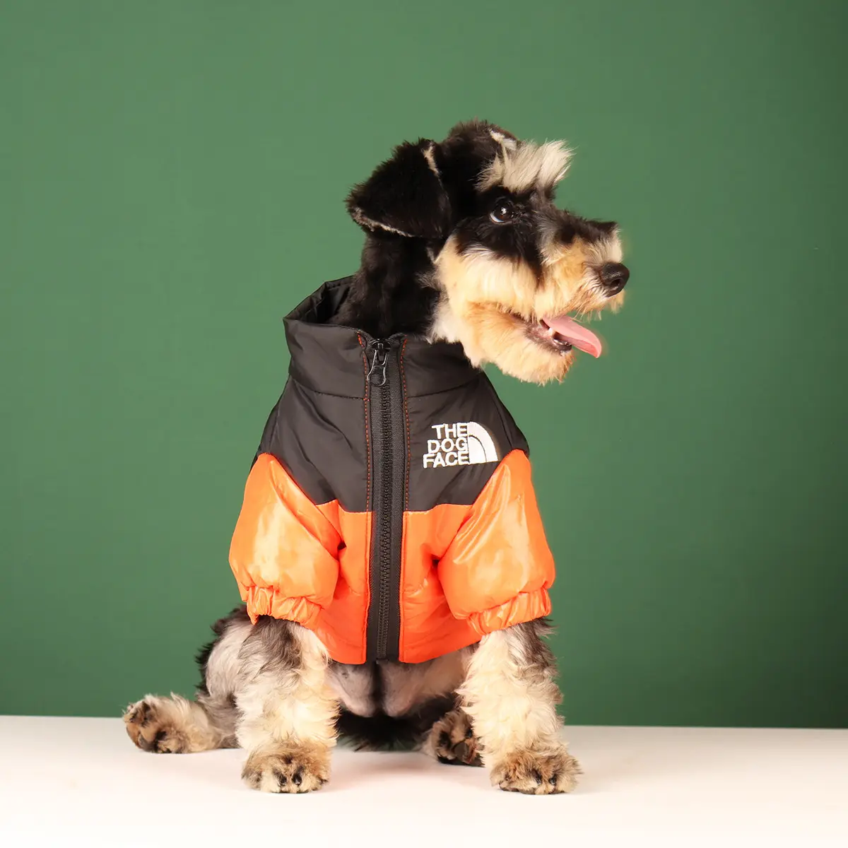 Eco-Friendly Dog Coats Dog Coats Company 2