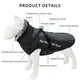 Cat Accessories Factory 8