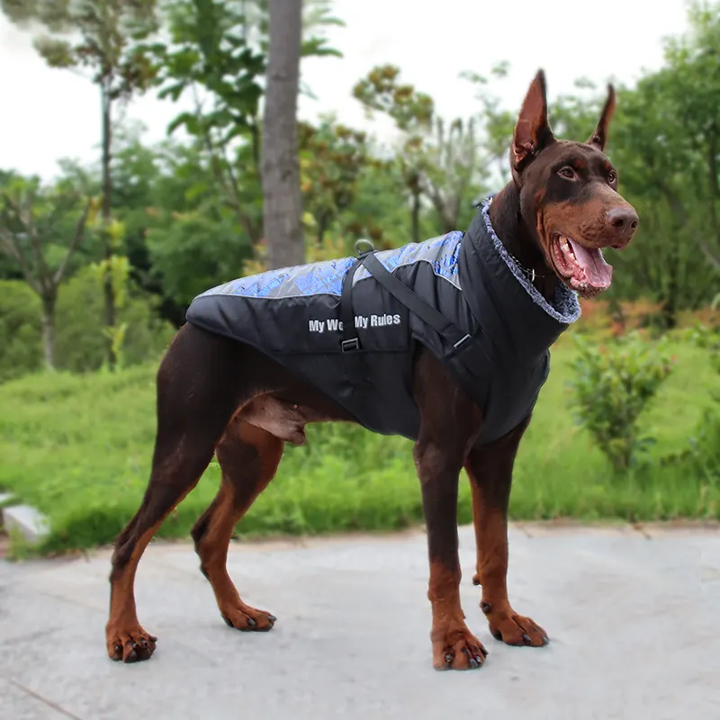 Why Custom Dog Sweaters are a Must-Have for Every Pet Parent 1