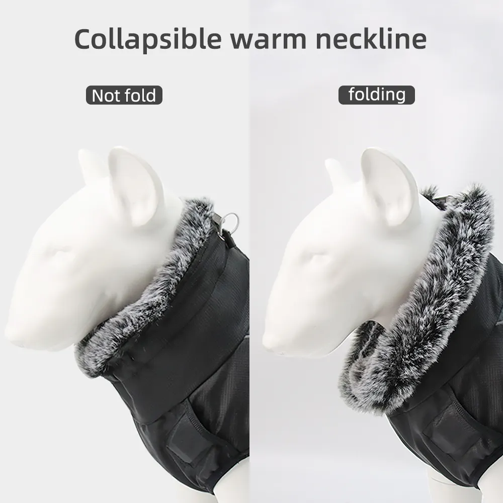 Cat Accessories Factory 7