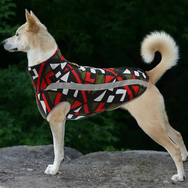 Custom Dog Rain Coat Supplier 2