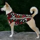 Custom Dog Rain Coat Supplier 2