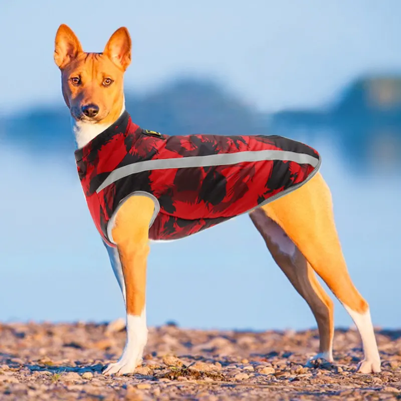Custom Dog Rain Coat Supplier 4