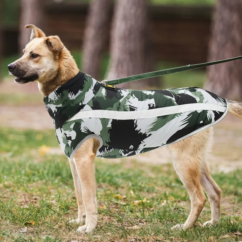 Custom Dog Rain Coat Supplier 3
