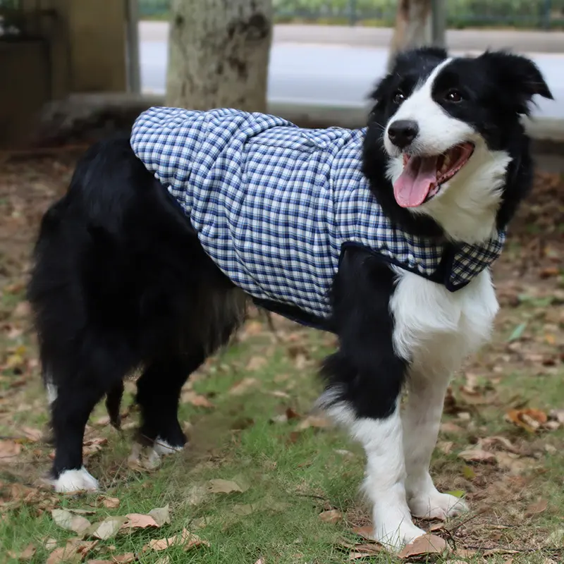 Premium Quality Pet Clothes 3