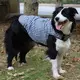 Premium Quality Pet Clothes 3