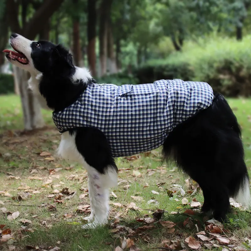 Premium Quality Pet Clothes 4