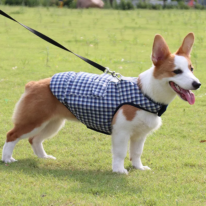 Premium Quality Pet Clothes 2