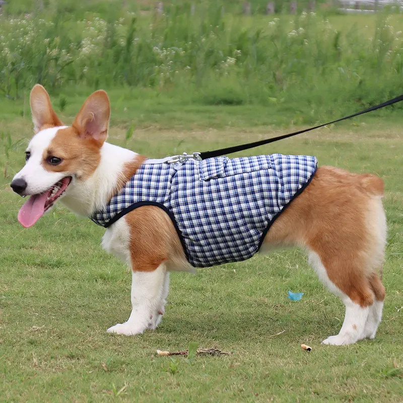 Premium Quality Pet Clothes 5