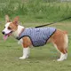 Premium Quality Pet Clothes 5