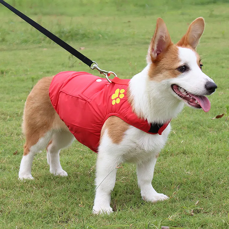 Premium Quality Pet Clothes 6