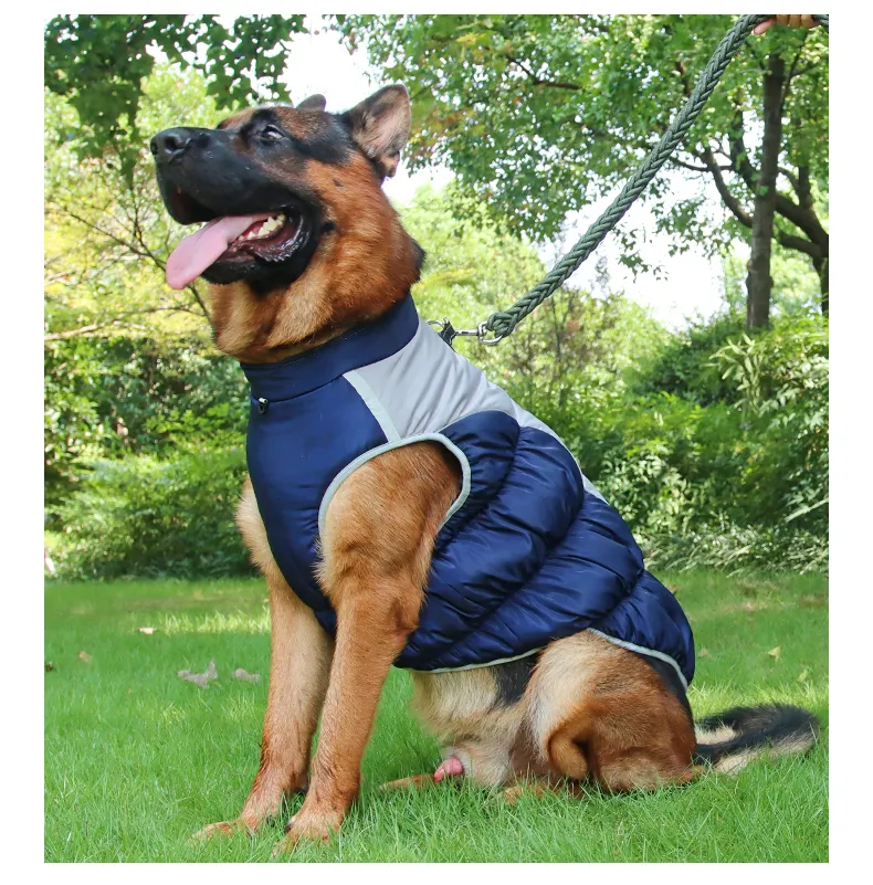 Winter Essentials: All the Must-Have Dog Sweaters for Cold Weather 1