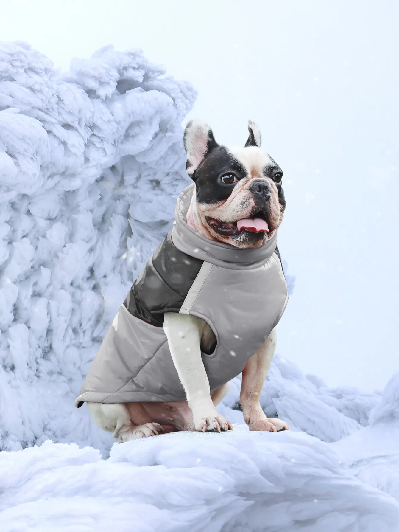 Dog Rain Coat by Beiyuan 2