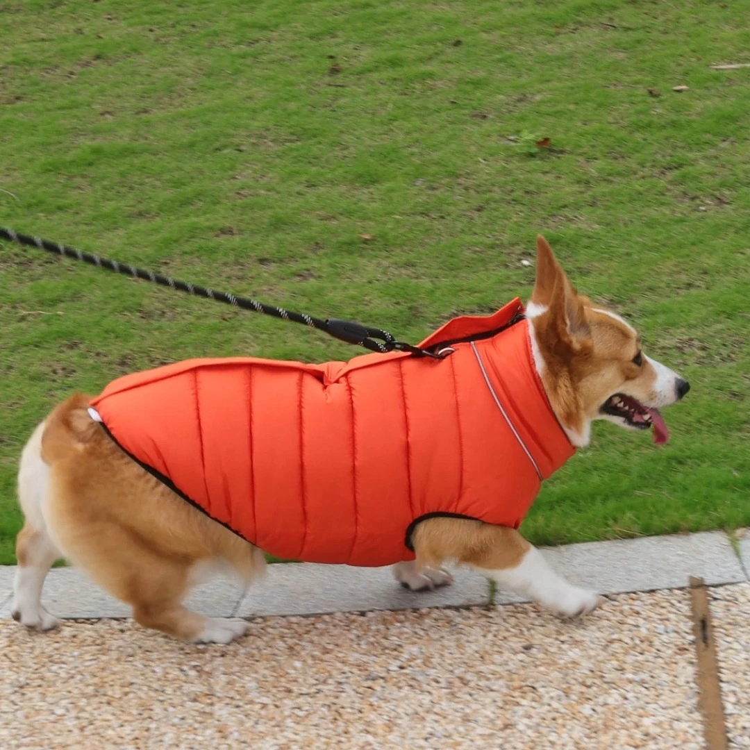Cappotto invernale reversibile resistente all'acqua 1