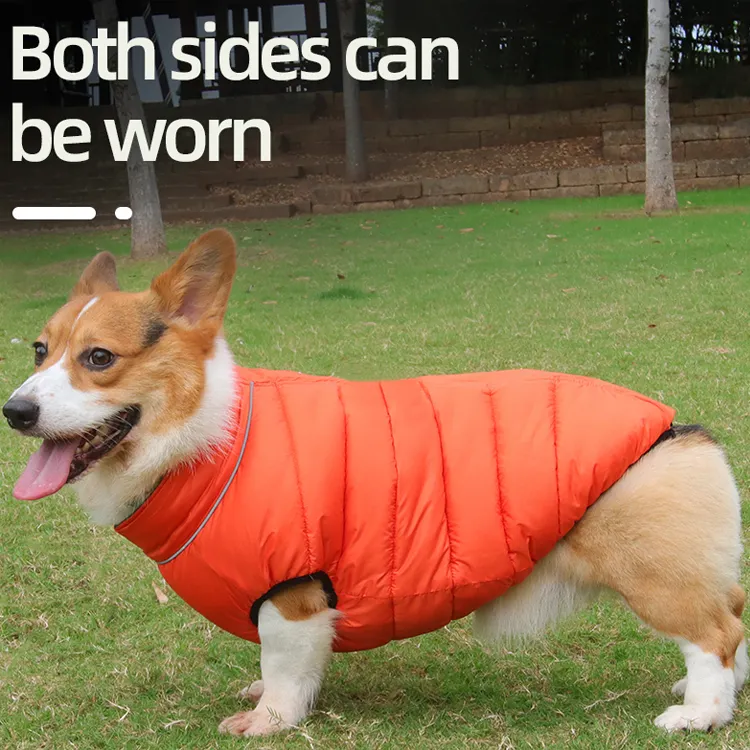Beiyuan Wholesale Dog Clothes Vendor 2